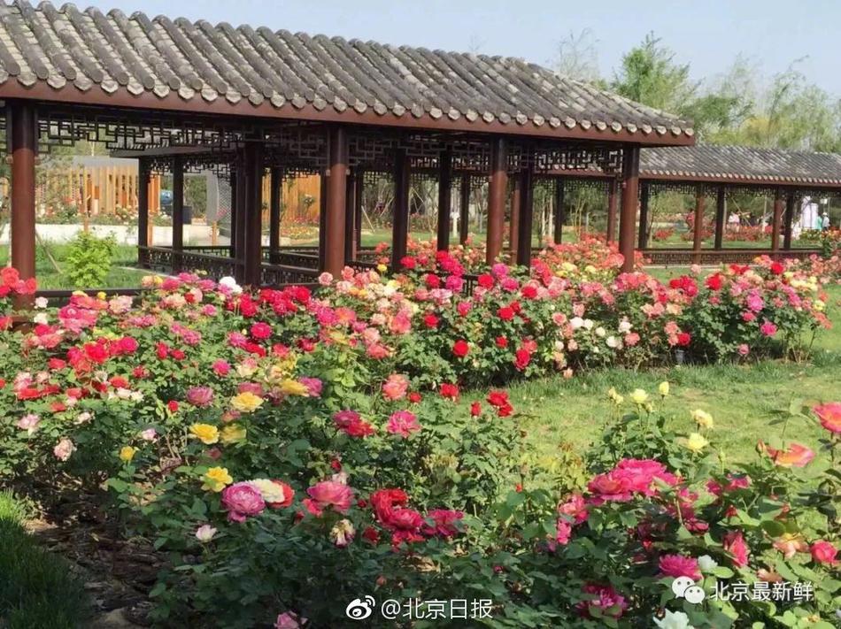 如何清除網(wǎng)頁搜索欄的記錄_海南自貿(mào)港18日正式啟動全島封關(guān)