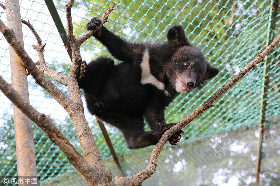 windows掃雷游戲_何炅過生日與汪涵一同慶祝 楊樂樂：彼此要珍惜啊