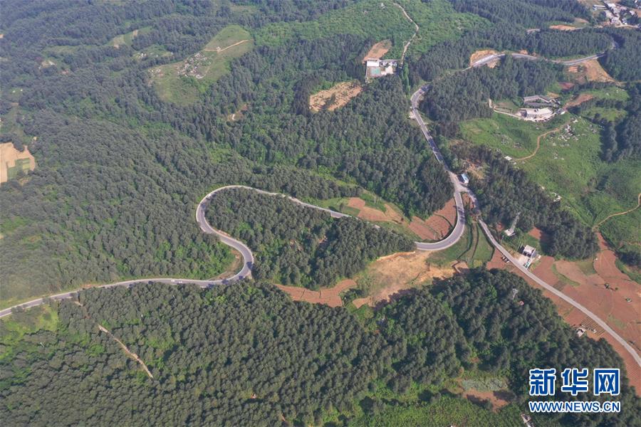 winform界面模塊化編程_懂球帝MVP丨法比奧：現(xiàn)在回看足協(xié)杯奪冠視頻，我還是會很激動