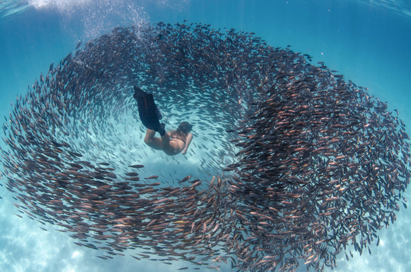 互聯(lián)網安全保護技術措施規(guī)定全文_反季節(jié)蔬菜吃了等于白吃?謠言