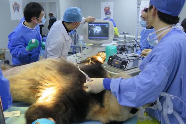 互聯(lián)網(wǎng)媒體分類_美聯(lián)儲(chǔ)主席熱門人選哈塞特：有充足空間降息