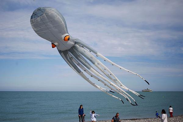 form表單method_新華時評｜民生藥箱“?；尽边€要更多元