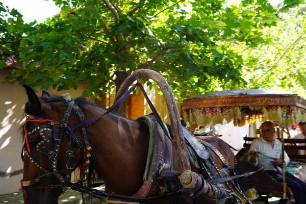 xss攻擊防護_等了九年，這座新一線城市的地鐵終于脫單了