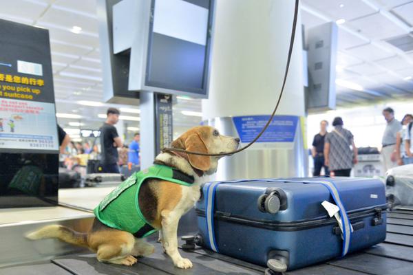 阿里如意pos收銀軟件下載_兩名正部級