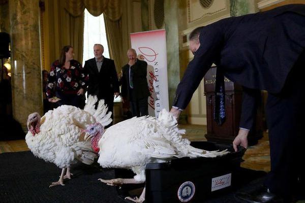 文件加密發(fā)送郵箱_住房城鄉(xiāng)建設(shè)部：把城市更新擺在更加突出位置
