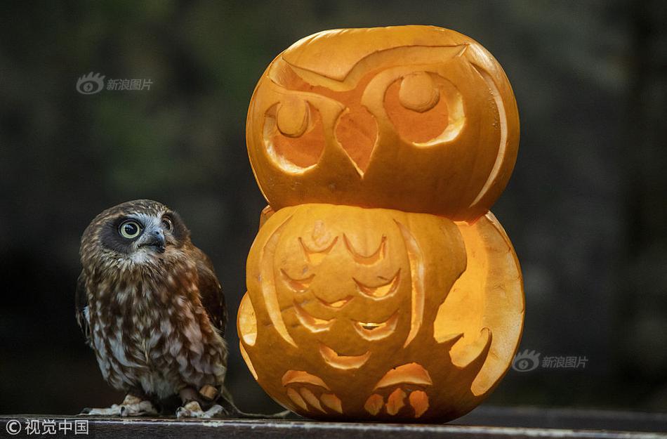 文件加密發(fā)送郵箱_住房城鄉(xiāng)建設(shè)部：把城市更新擺在更加突出位置