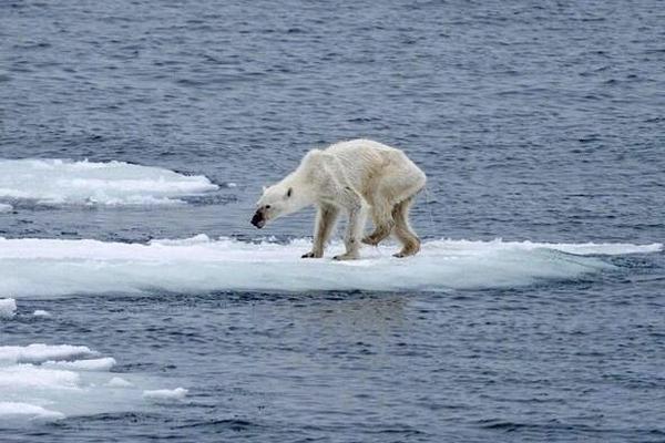 公考作弊上岸 誠信已“落水”