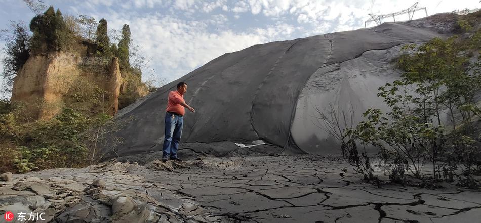 獎(jiǎng)勵(lì)孩子手機(jī)與眼鏡蛇效應(yīng)_寶馬集團(tuán)將換帥，內(nèi)德?tīng)柨凭S奇明年5月接棒齊普策