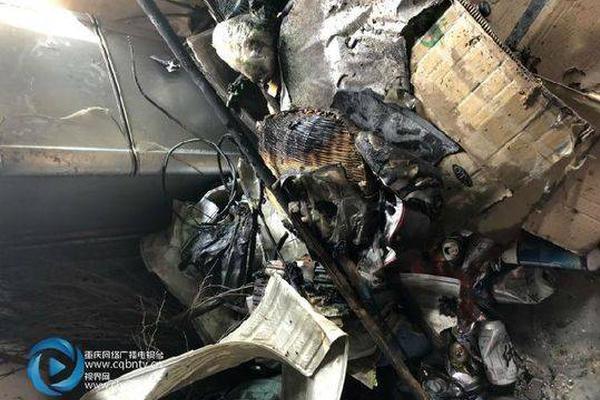 堡壘之夜國服的東西轉(zhuǎn)到國際服_日本評論員: