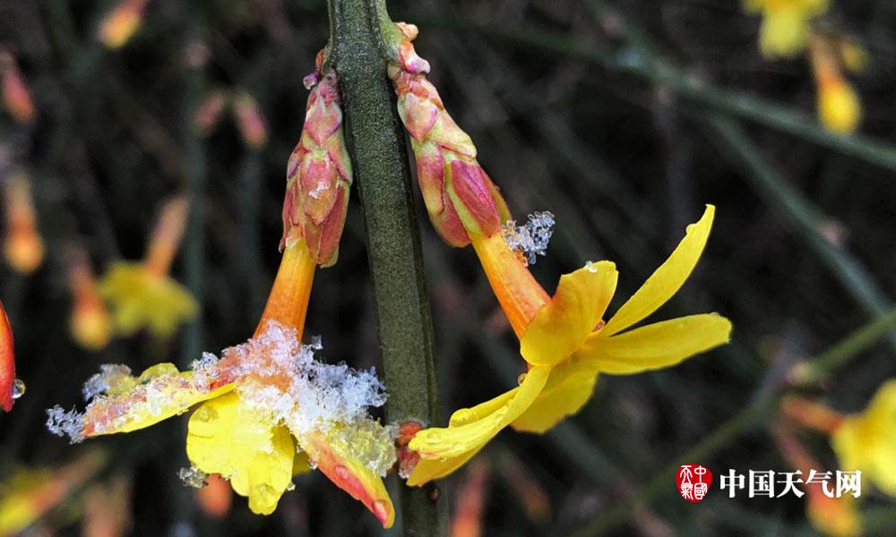 java零基礎(chǔ)要多久學(xué)會(huì)_網(wǎng)易力薦-200門嚴(yán)選好課