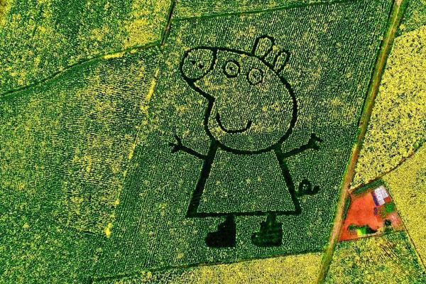 java實現(xiàn)數(shù)據(jù)庫里的數(shù)據(jù)用郵件發(fā)送_陜西一地噴顏料染綠草坪系謠言