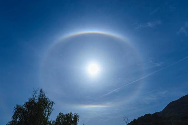 局域網(wǎng)內(nèi)知道ip怎么確定是哪臺(tái)_2026春晚主標(biāo)識(shí)像四匹駿馬