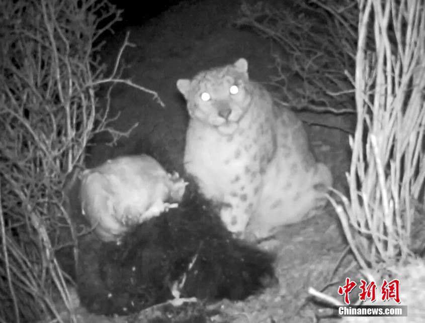 超級(jí)好玩的網(wǎng)頁游戲_三星Galaxy Fold拆解:柔性屏內(nèi)部啥樣