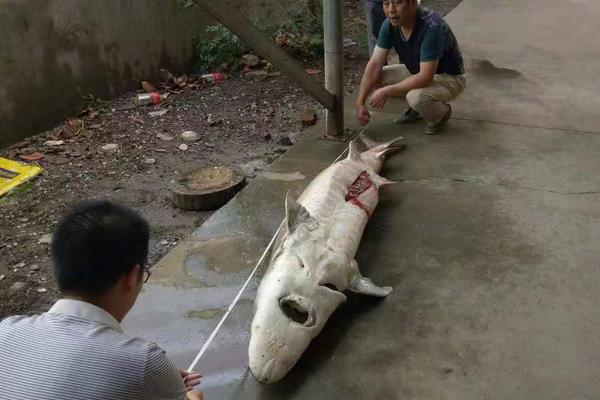 可以看未刪減版電影的網(wǎng)站有哪些_美國防長一句“無意改變臺?，F(xiàn)狀”，這就夠了？