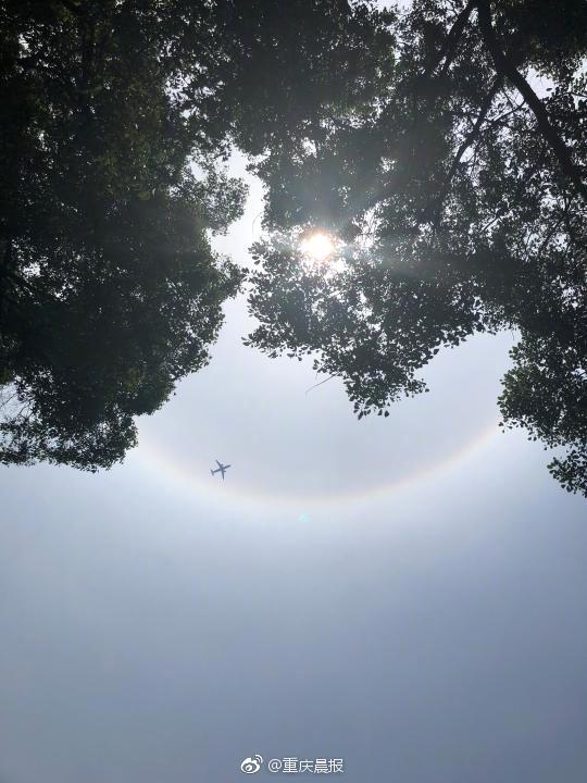 淘寶放單網(wǎng)_顧客AI合成死螃蟹要求退款 被拘8日 195元全額追回