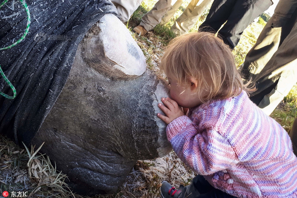連接非同局域網(wǎng)的數(shù)據(jù)庫(kù)_人體特殊"防胖基因"