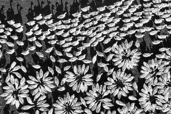 偷換二維碼侵占罪_向生活致敬·與藝術(shù)共居