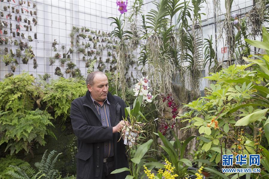 無效的授權(quán)碼電子稅務(wù)局怎么處理_新疆阿勒泰：縱情冰雪之間 樂享四季旅程