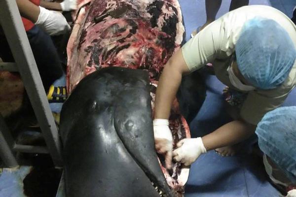 點進去惡搞人鏈接_受賄數(shù)額特別巨大，齊扎拉被公訴