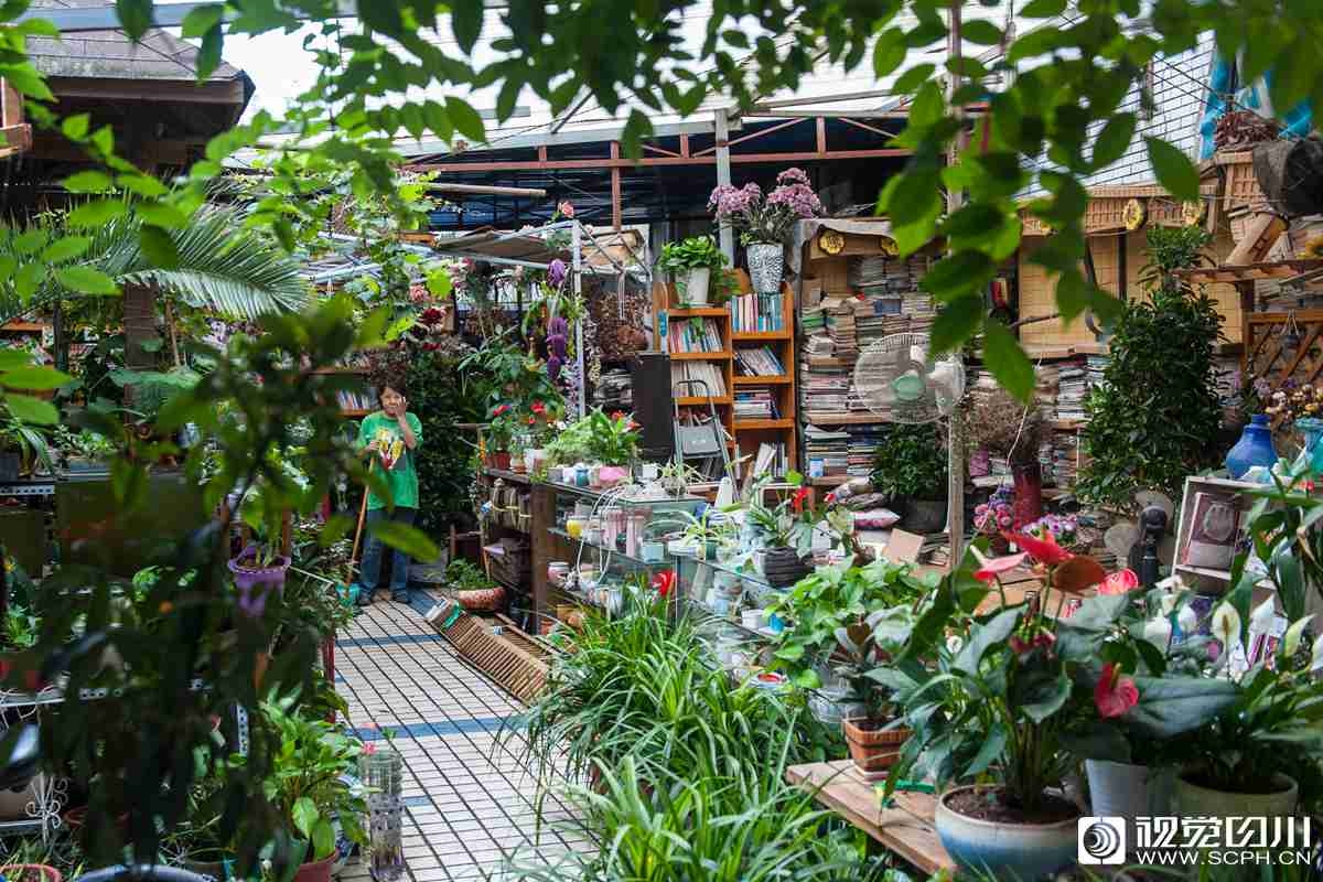 論壇營銷的案例有哪些_曝中國新輕型坦克已批量服役