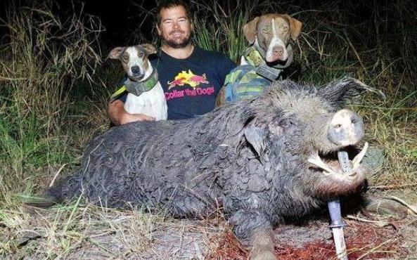 益盟伏擊活躍股vip指標(biāo)公式源碼免費(fèi)下載_大話手游御獸爭鋒：雙人天梯賽怎么玩？7血法第一輕松吃雞！