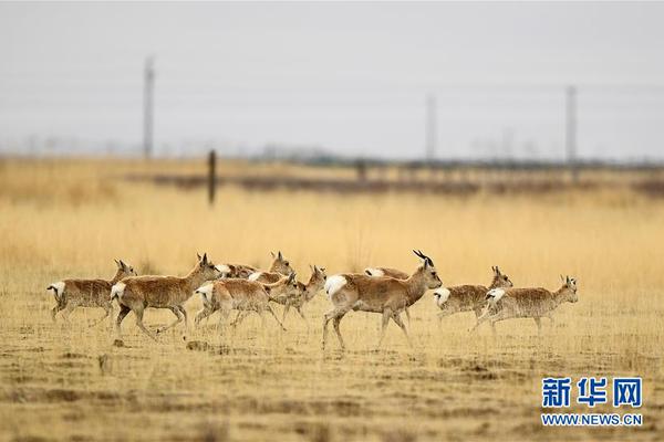 音樂全球發(fā)行平臺排名_美國戰(zhàn)略重大轉(zhuǎn)向承認(rèn)中美