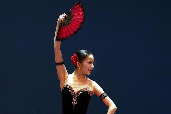 python輕量級(jí)開發(fā)工具_(dá)他死時(shí)口袋空空，連棺材都買不起，是誰(shuí)為這位學(xué)界泰斗完成了葬禮