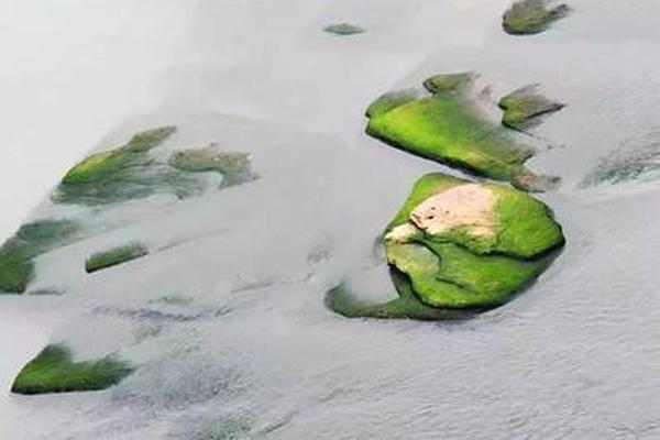 python游戲自動(dòng)化腳本開發(fā)_他把云山霧海畫活了，堪稱一絕！