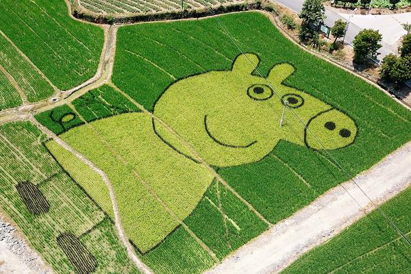 對訪問ip進(jìn)行反向_三星Galaxy Z TriFold：為三折疊注入差異化體驗(yàn)