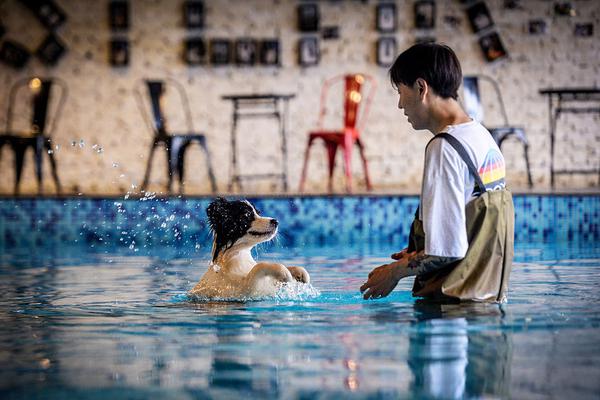 對訪問ip進(jìn)行反向_三星Galaxy Z TriFold：為三折疊注入差異化體驗(yàn)