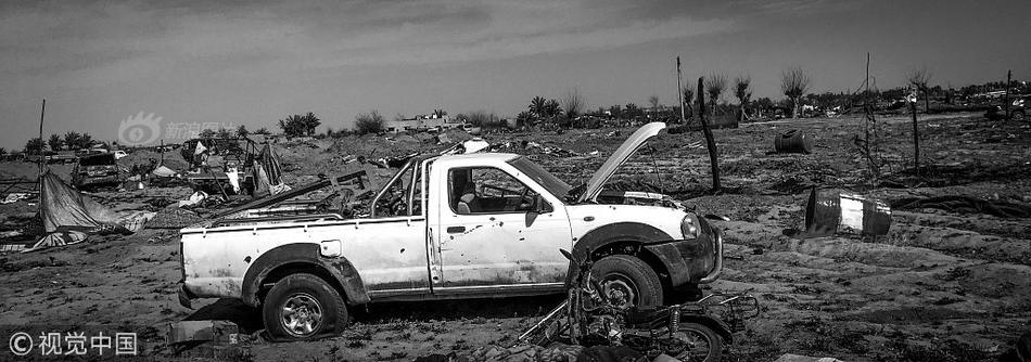 墓地抽獎(jiǎng)與名人相伴_德外長訪華行