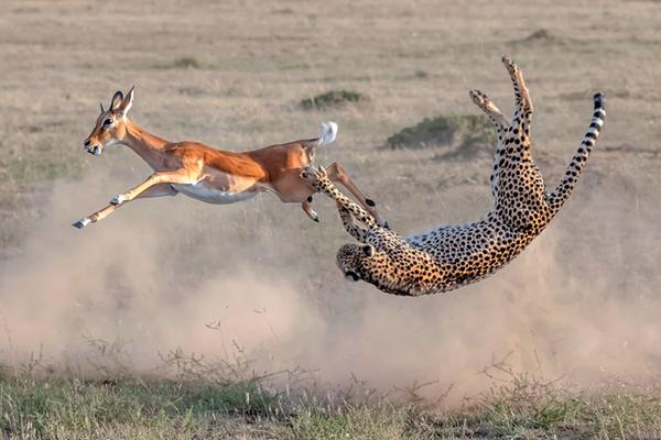 2023教資面試需要現(xiàn)場審核嗎_罕見！地產(chǎn)股批量漲停！發(fā)生了什么？