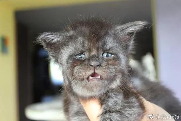 提質(zhì)擴(kuò)容，發(fā)力新領(lǐng)域新賽道（評論員觀察）