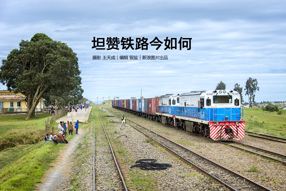 怎么開啟網(wǎng)頁全文翻譯_《逍遙游》照進(jìn)現(xiàn)實(shí) 東營鳥浪奇觀如