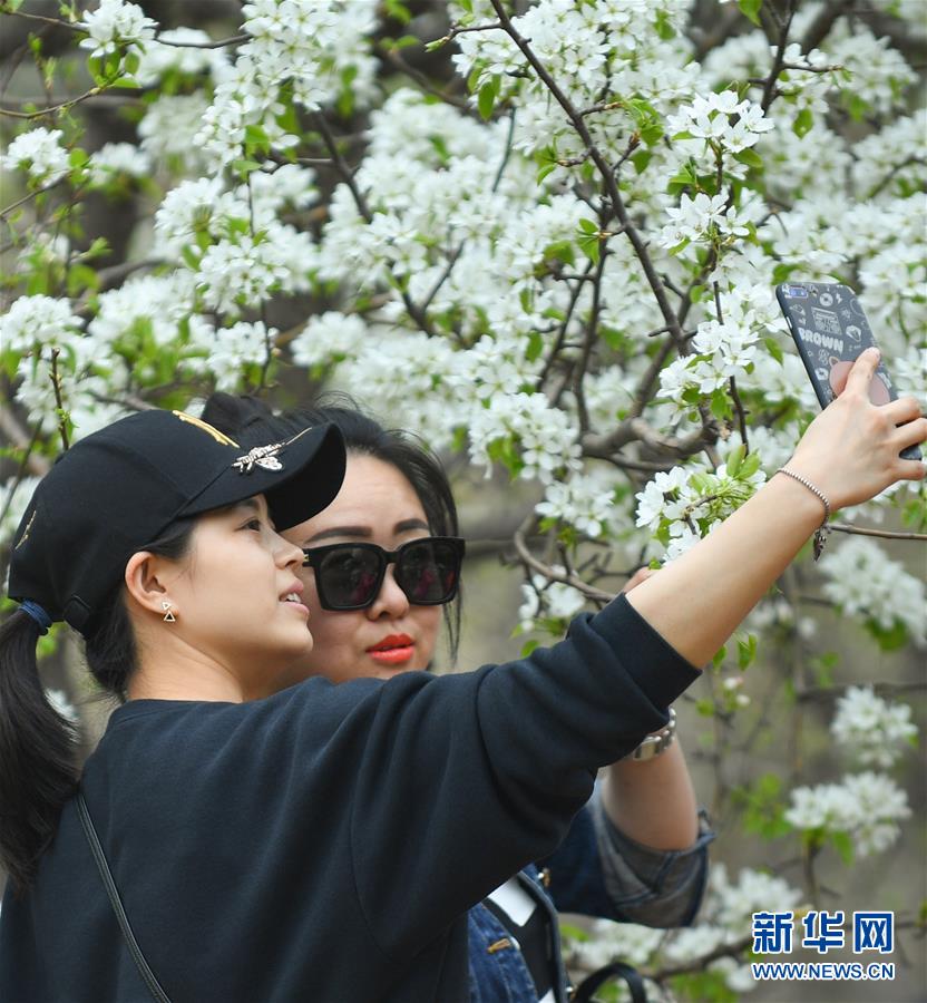 一路向北“飛”往京津冀丨五年路上你我他——四中全會(huì)精神大家談