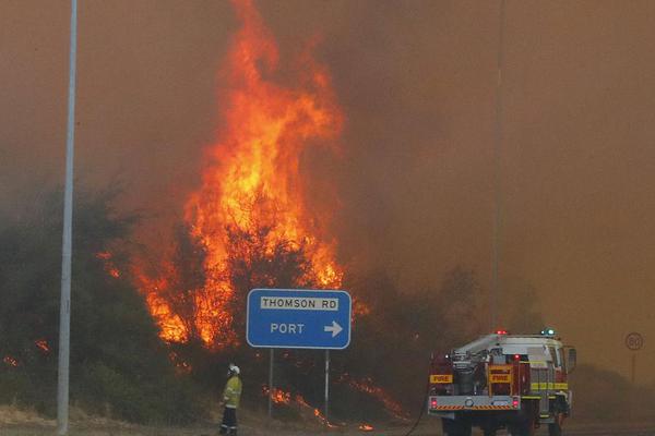 公司惡意罰款怎么處理_返還文物歸國路為何走了12年