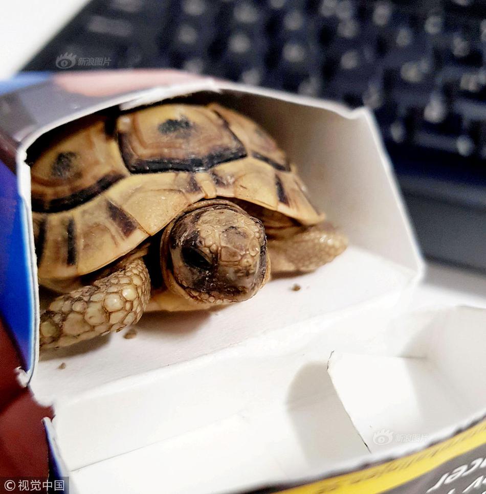 swagger未授權(quán)訪問漏洞解決方案_現(xiàn)場畫面！中俄兩軍組織實(shí)施第10次聯(lián)合空中戰(zhàn)略巡航