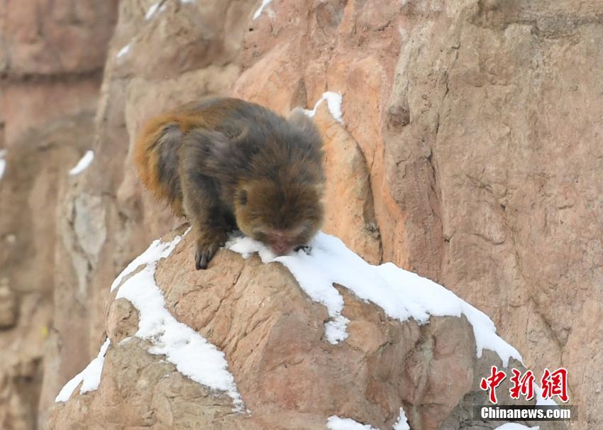 tomcat9設(shè)置內(nèi)存大小_當(dāng)孩子的快樂被消費(fèi)刺激綁定