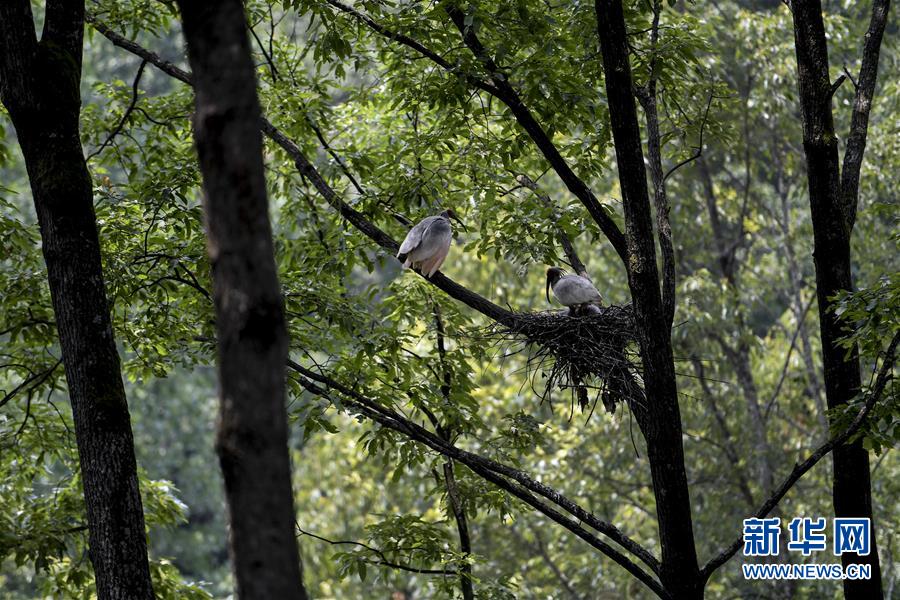 windows7官網(wǎng)首頁_柬方：愿立即與泰國舉行?；饡?huì)談