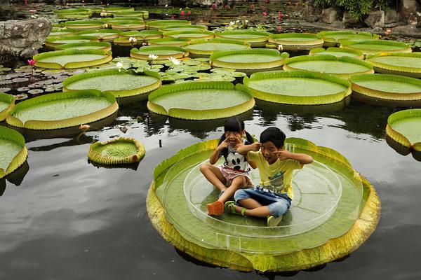 泰柬邊境沖突第四日：交戰(zhàn)持續(xù)，雙方超50萬(wàn)邊境居民撤離