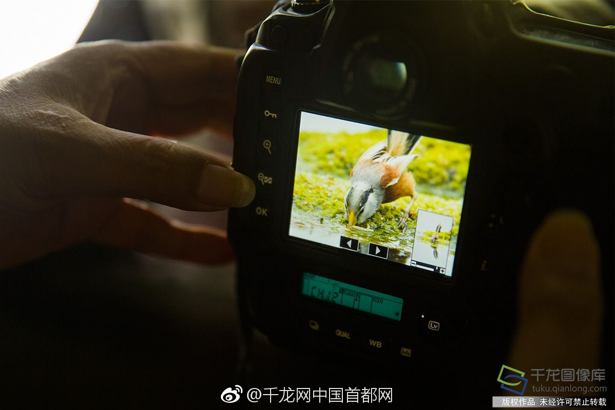 beef xss滲透測試平臺及使用_法國藝術家貝納維內(nèi)紀念雕塑捐贈儀式在北京舉行