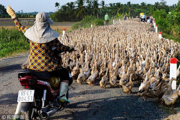 織夢后臺登陸網(wǎng)址_嘀嗒出行兩位董事撤退，宋中杰削減用戶補貼