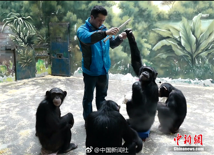 全國各地政府網(wǎng)站大全_300萬以內(nèi)無敵手 蓮花首款插混SUV定名For Me