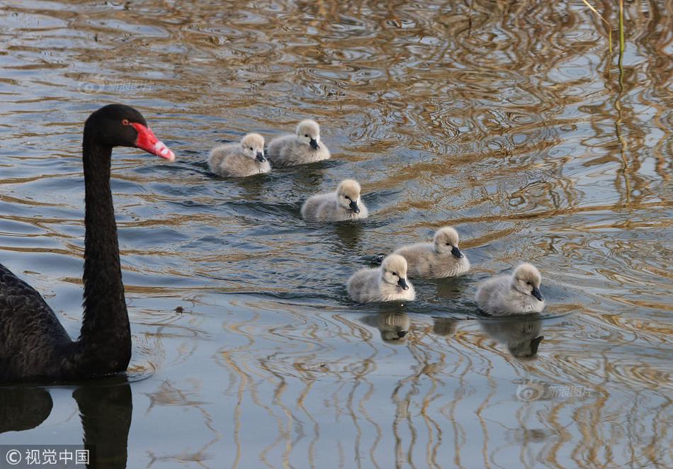 web安全培訓(xùn)_世體：皇馬高層關(guān)注球隊傷病問題，將其歸咎于體能教練