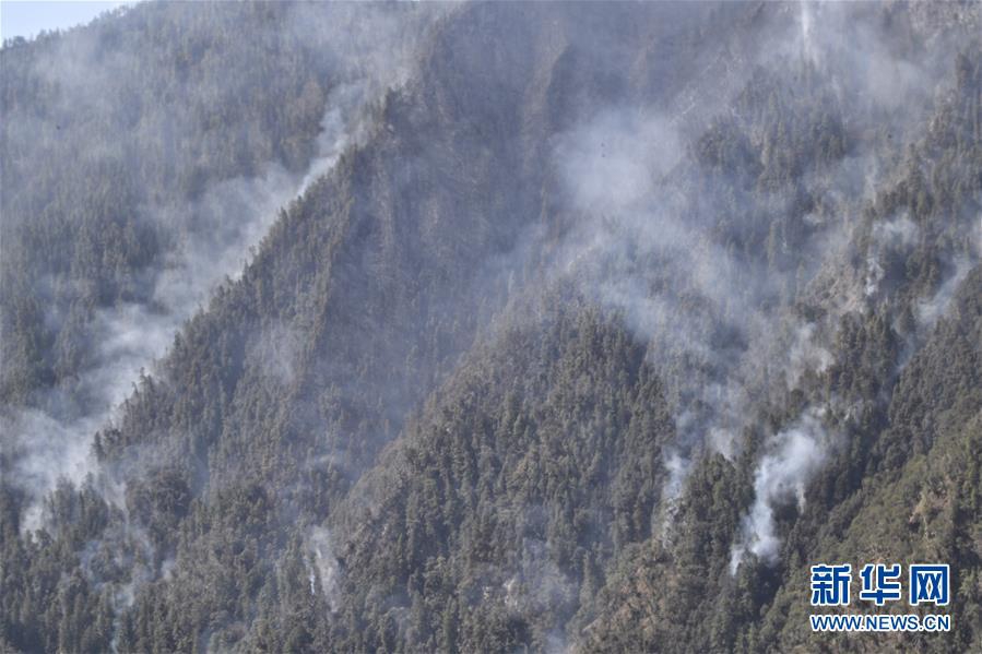 如何白嫖wangluo_招募 | 千年雕版印經(jīng)體驗(yàn)暨香灰宣紙?jiān)偕囆g(shù)活動(dòng)