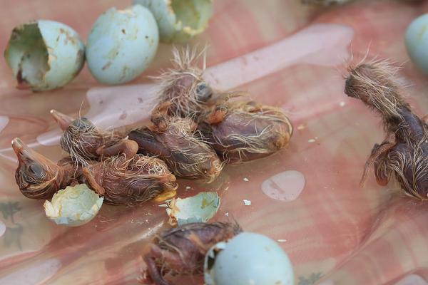 如何查找網(wǎng)站露洞情況_向“新”出發(fā)丨AI上新質(zhì)生產(chǎn)力