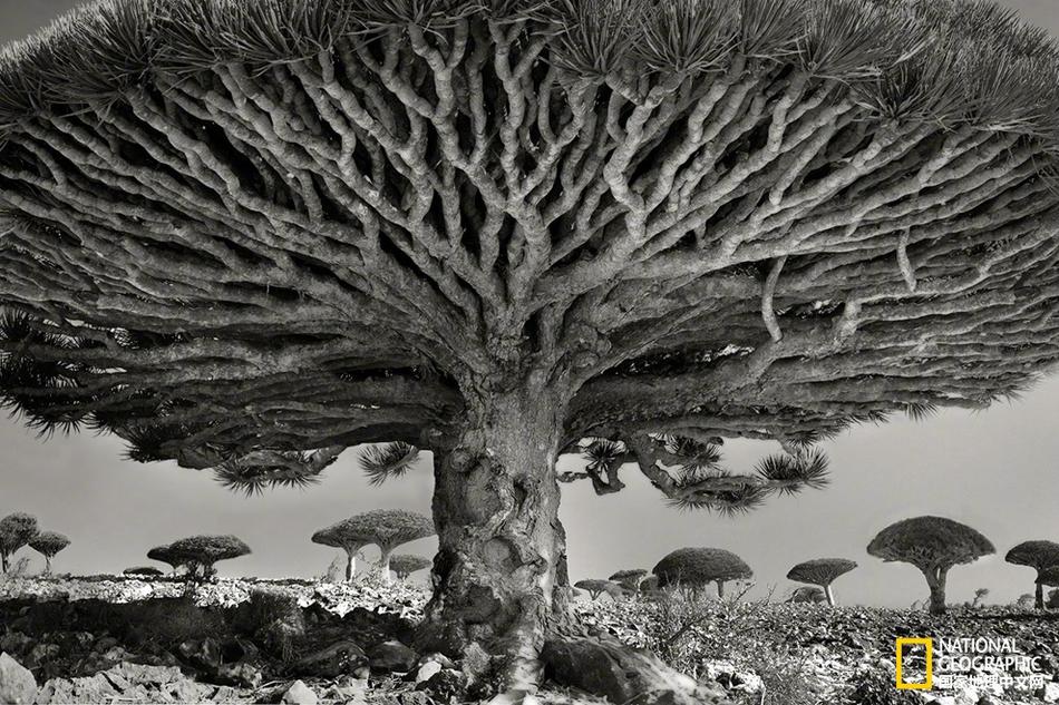 中央網(wǎng)信辦官網(wǎng)組織架構(gòu)_喜娜AI速遞：今日財經(jīng)熱點要聞回顧｜2025年12月10日