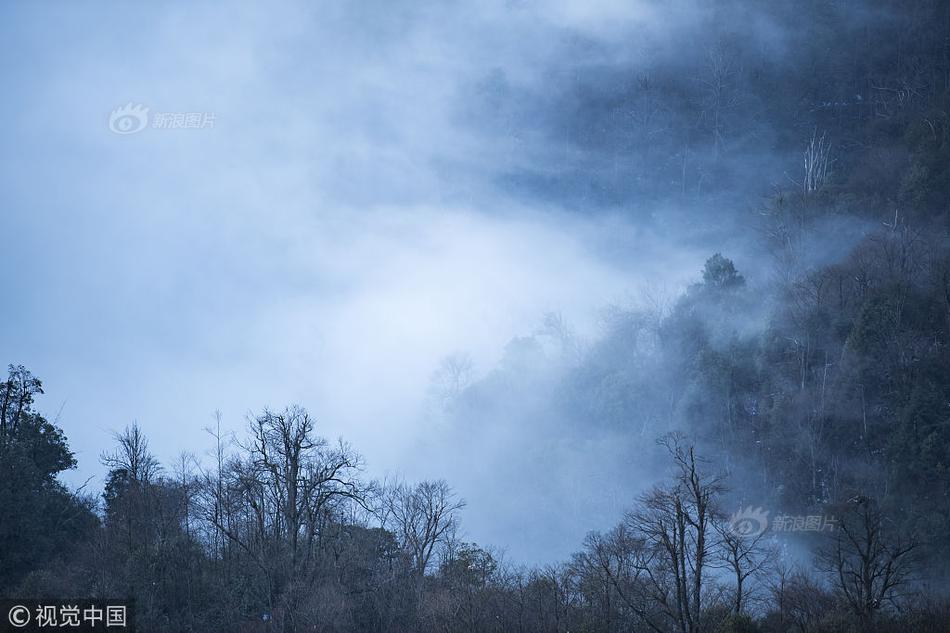 whois查詢網(wǎng)入口_英格拉姆31分難救主 猛龍不敵尼克斯