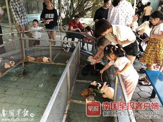 dz論壇搭建教程_四大“晴雨表”映射湖北經濟穩(wěn)中向好