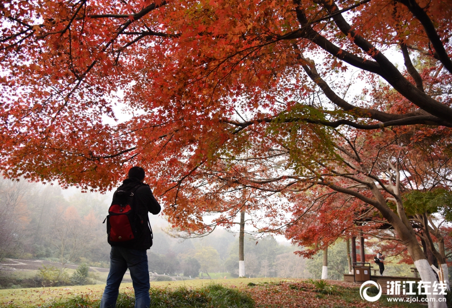 最新zlibirary鏡像站官方_澳門倫敦人度假區(qū) 澳門熱度 3210